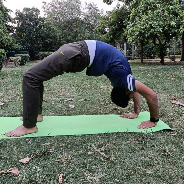 Rajesh Kumar Meena